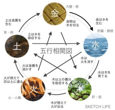 風水 南東|陽気で活発だけど注意が必要な南の方角。その運気と。